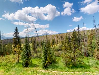Breckenridge Condo 937700