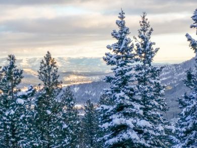 Breckenridge Home 937706