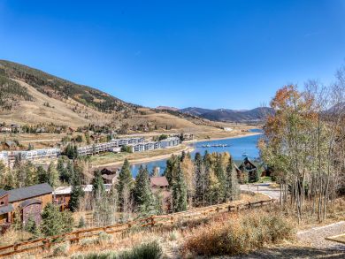 Breckenridge Condo 937709