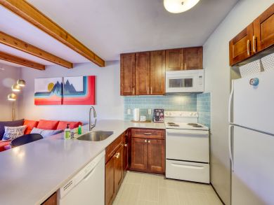 Breckenridge Condo 937709