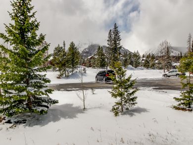 Breckenridge Condo 937710