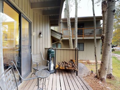 Breckenridge Condo 937716