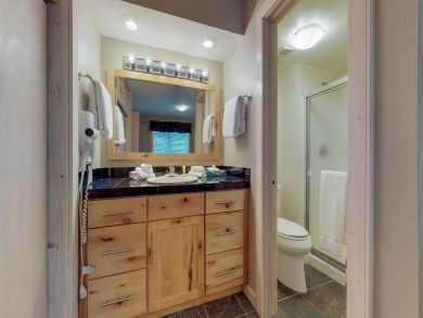 Breckenridge Condo 937717