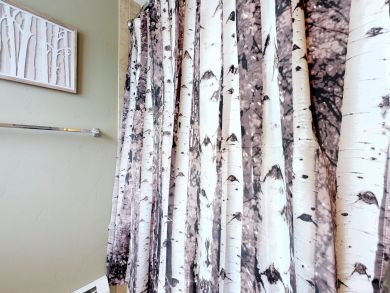 Steamboat Springs Condo 937718