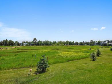 Breckenridge Condo 937722