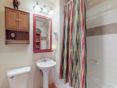 Breckenridge Condo 937725