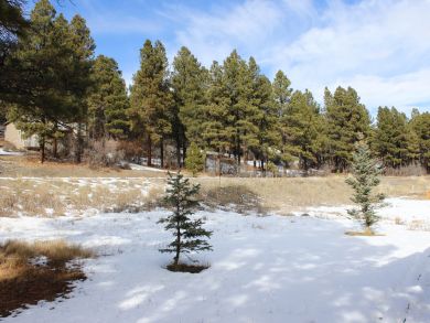 Breckenridge Home 937728
