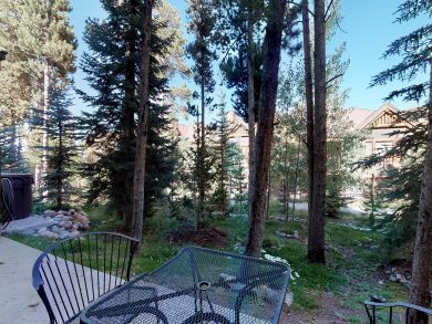 Breckenridge Condo 937729