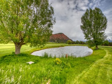 Snowmass Home 937730 Snowmass Home 937730
