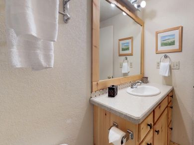 Breckenridge Condo 937731