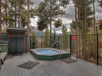 Breckenridge Condo 937746