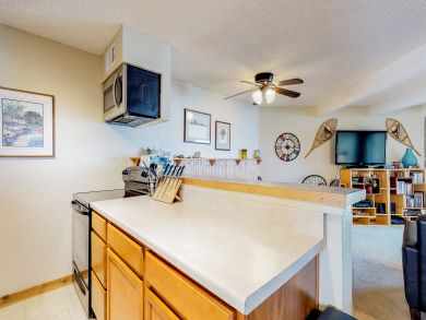Breckenridge Condo 937759