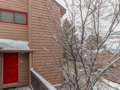 Breckenridge Condo 937762