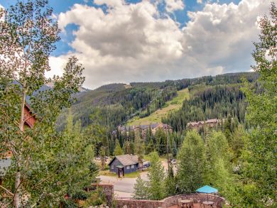 Breckenridge Condo 937769