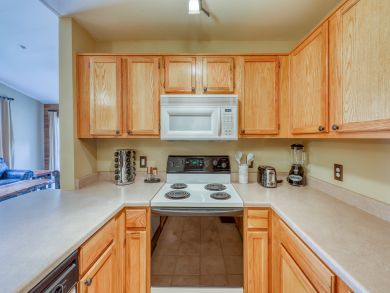 Breckenridge Condo 937771
