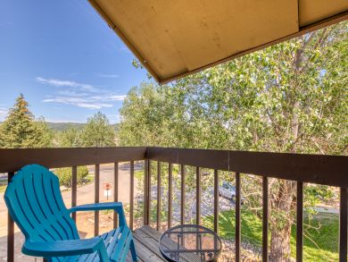 Steamboat Springs Condo 937775 Steamboat Springs Condo 937775