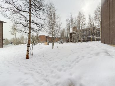 Breckenridge Condo 937783