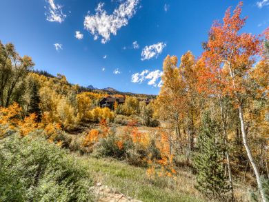 Breckenridge Home 937789