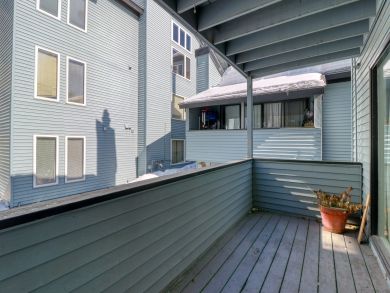 Steamboat Springs Condo 937795
