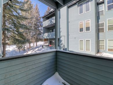 Steamboat Springs Condo 937795