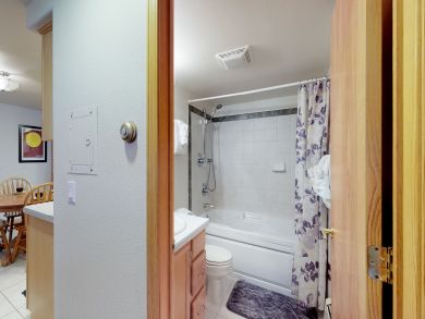 Breckenridge Condo 937800