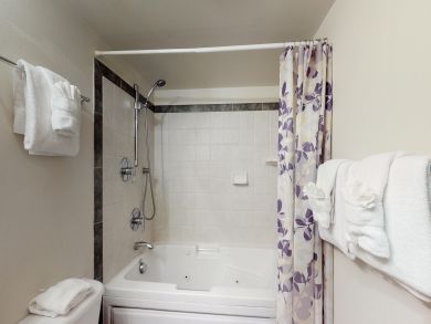 Breckenridge Condo 937800