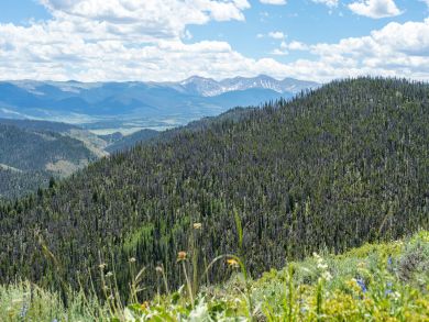 Breckenridge Home 937806
