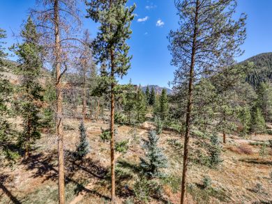 Breckenridge Condo 937807