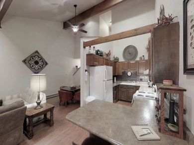 Breckenridge Condo 937816