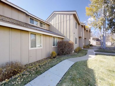 Breckenridge Condo 937816