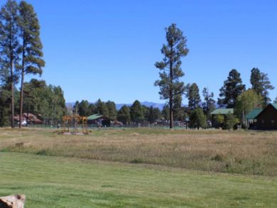 Breckenridge Condo 937816