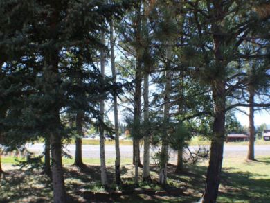 Breckenridge Condo 937816