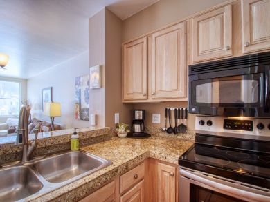 Breckenridge Condo 937819