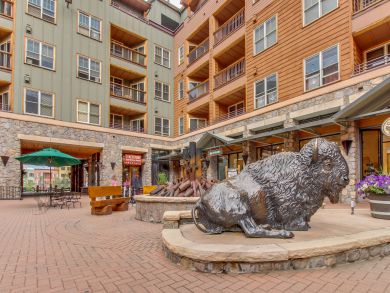 Breckenridge Condo 937819