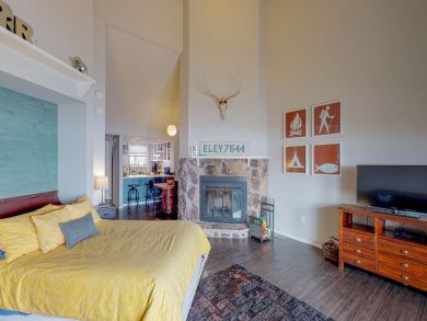 Breckenridge Condo 937827