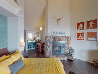 Breckenridge Condo 937827