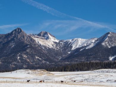 Breckenridge Condo 937827