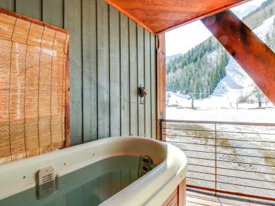 Telluride Condo 937828