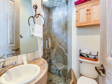 Telluride Condo 937828