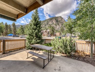 Breckenridge Condo 937832