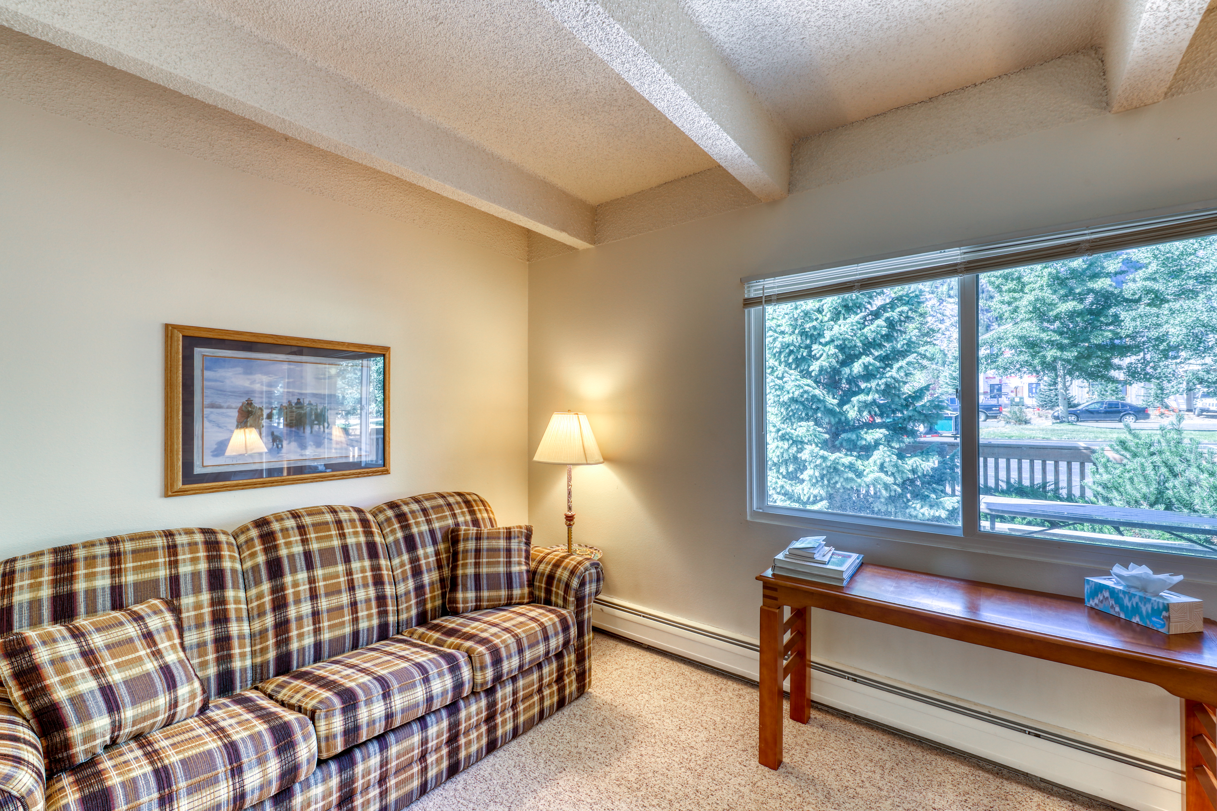 Breckenridge Condo 937832