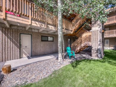 Breckenridge Condo 937832