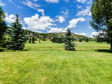 Breckenridge Condo 937832