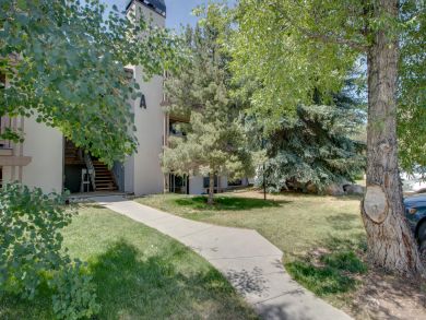 Avon Condo 937846
