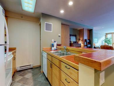 Breckenridge Condo 937862