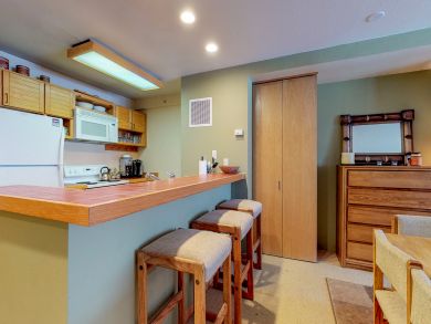 Breckenridge Condo 937862