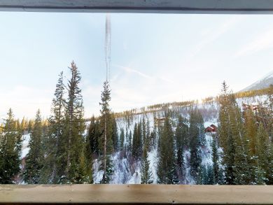 Breckenridge Condo 937866