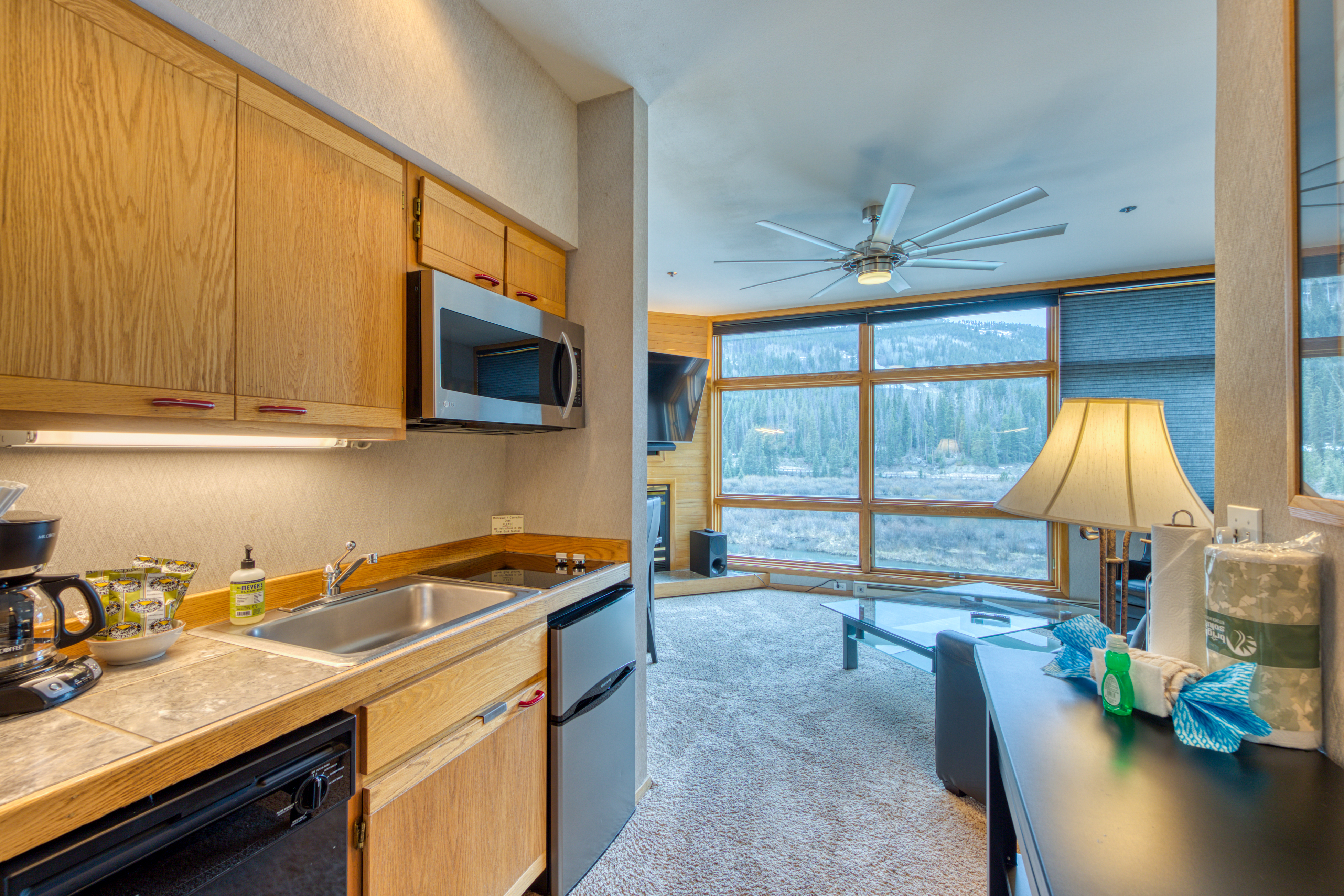Breckenridge Condo 937874