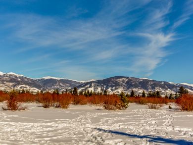 Breckenridge Home 937879