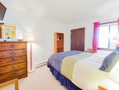 Breckenridge Condo 937880